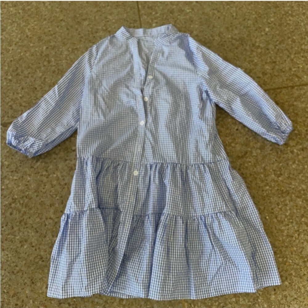 Blue Gingham Button-Down Dress - image 1
